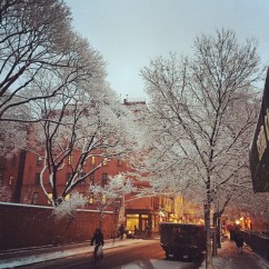 snow-trees-street-glow